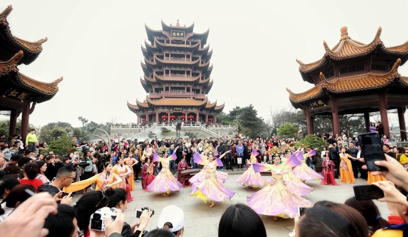 自由行：释放你的探索精神